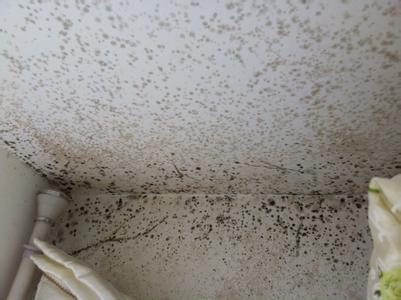 煙廠廠房防靜電墻體發(fā)霉怎么處理,墻體發(fā)霉原因