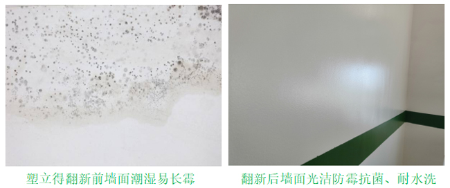 潮濕長霉墻面翻新