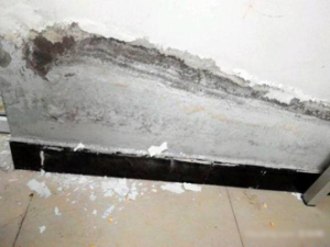 防涂鴉墻面涂料