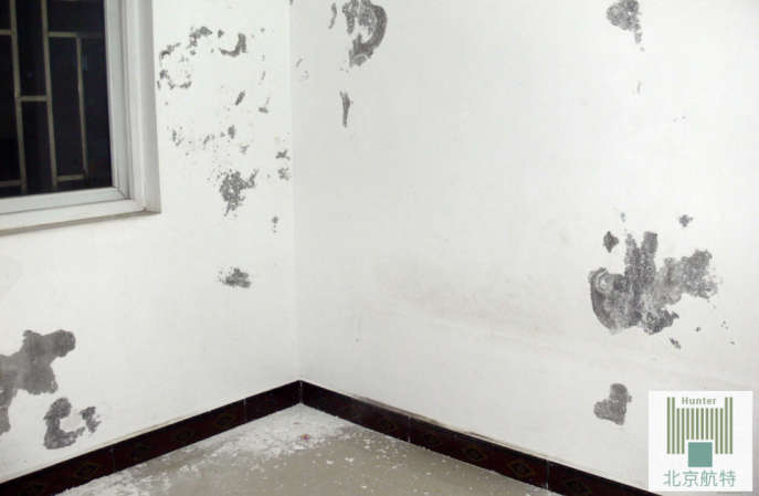 墻面掉粉怎么辦，新方法，讓你獲得更耐用的墻面！