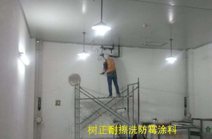 9512防霉涂料價(jià)格是多少，食品廠煙廠能用嗎？