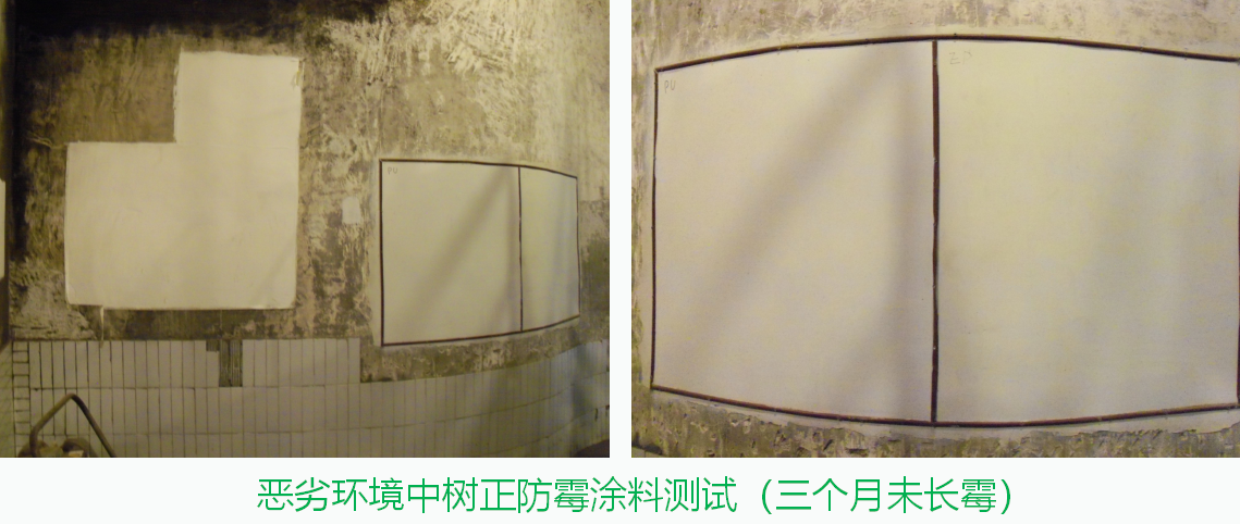 防霉涂料價(jià)格是多少？有性價(jià)比較高的廠家嗎？