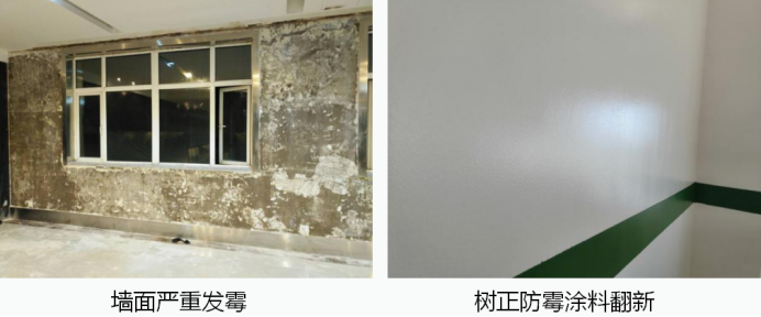 防霉墻面漆廠家直銷，哪家價(jià)格比較好？