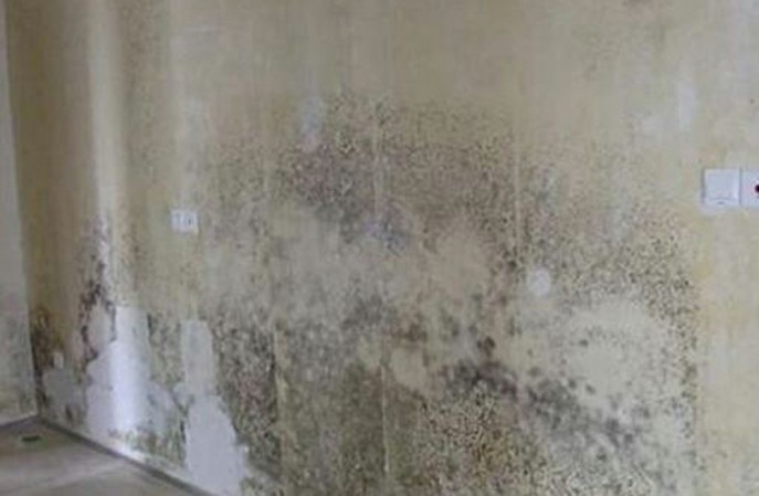 地下車庫墻面防霉方法有哪些？推薦一個(gè)比較有效的！