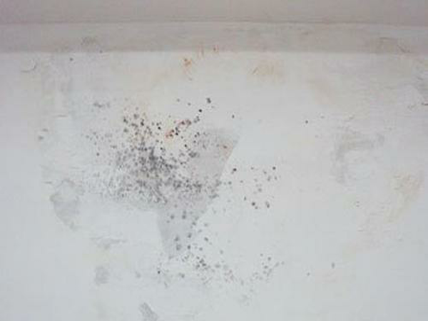 手術(shù)室抗菌涂料廠家