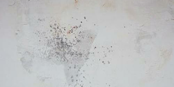 防霉涂料價(jià)格貴嗎？