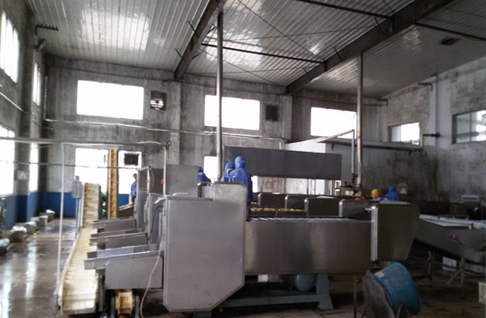 什么場所需要使用防霉涂料