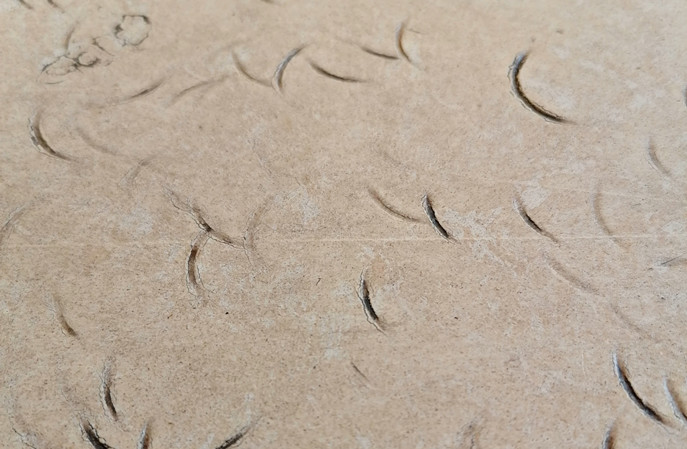 塑膠地板保養(yǎng)“防老指南”：三步讓它年輕10歲！