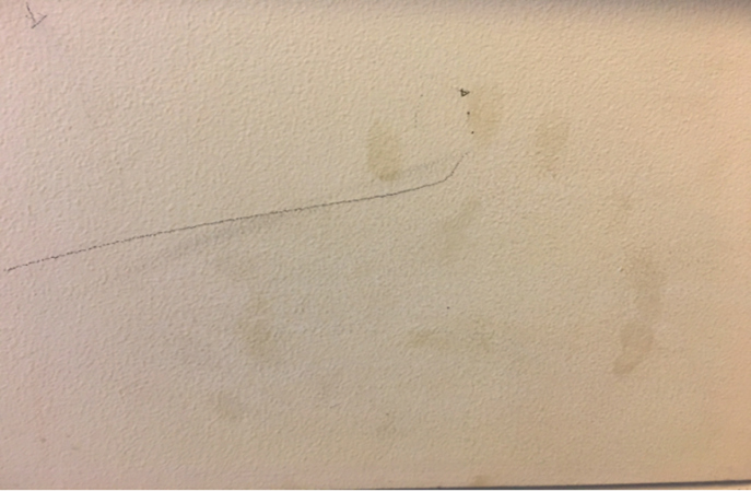 舊墻煥新刻不容緩，塑立得抗菌涂料守護(hù)健康