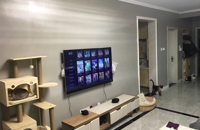 塑立得抗菌墻面涂料用量揭秘，打造健康家居新體驗