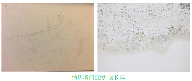 酒店墻面問(wèn)題